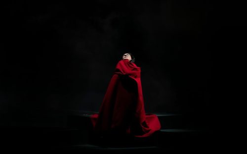 Elektra-Strauss. Palacio de Bellas Artes 10.2025